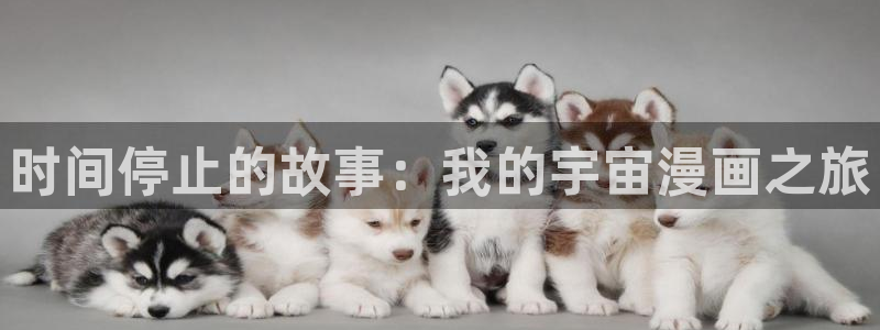 枯萎的花泪喵趣漫画：时间停止的故事：我的宇宙漫画之旅