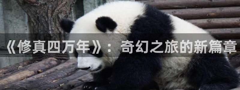 2025喵趣漫画：《修真四万年》：奇幻之旅的新篇章